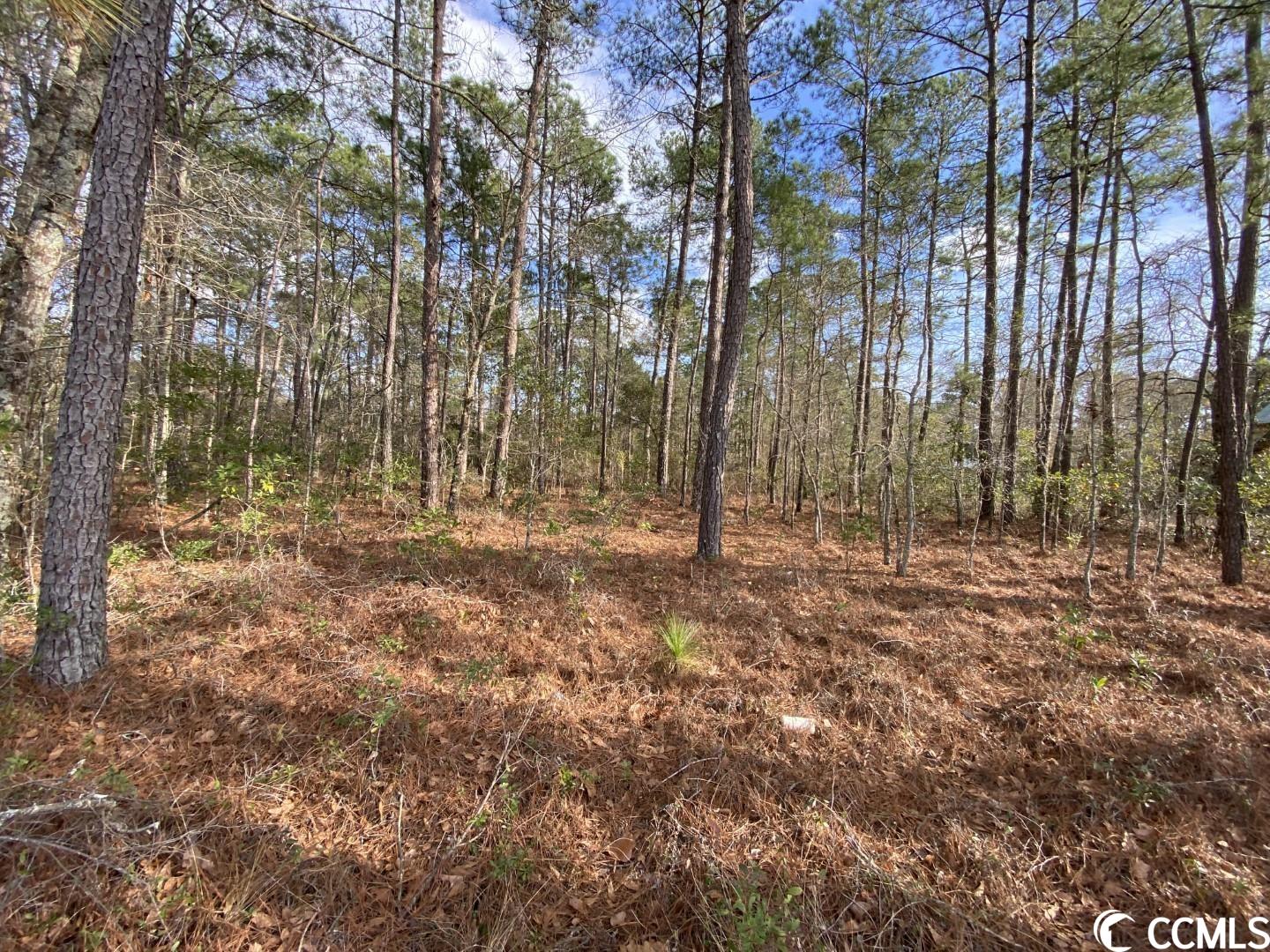 Lot B Inheritance Road Conway, SC 29527 - Photo 3 of 5