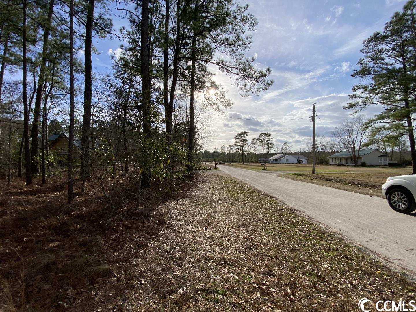 Lot B Inheritance Road Conway, SC 29527 - Photo 4 of 5