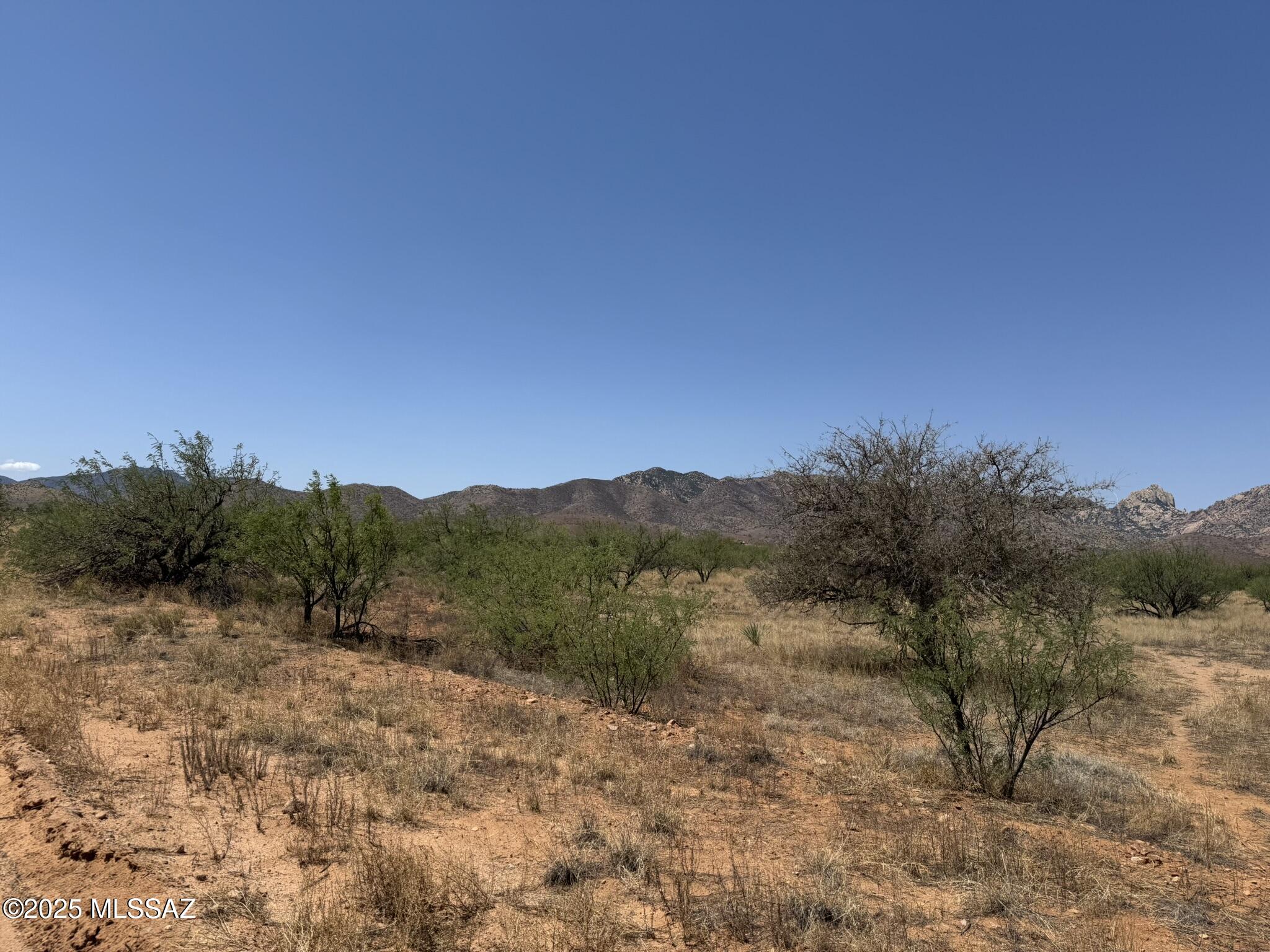 1.07-acres South Palm Road, Unit 1 Cochise, AZ 85606 - Photo 8 of 9