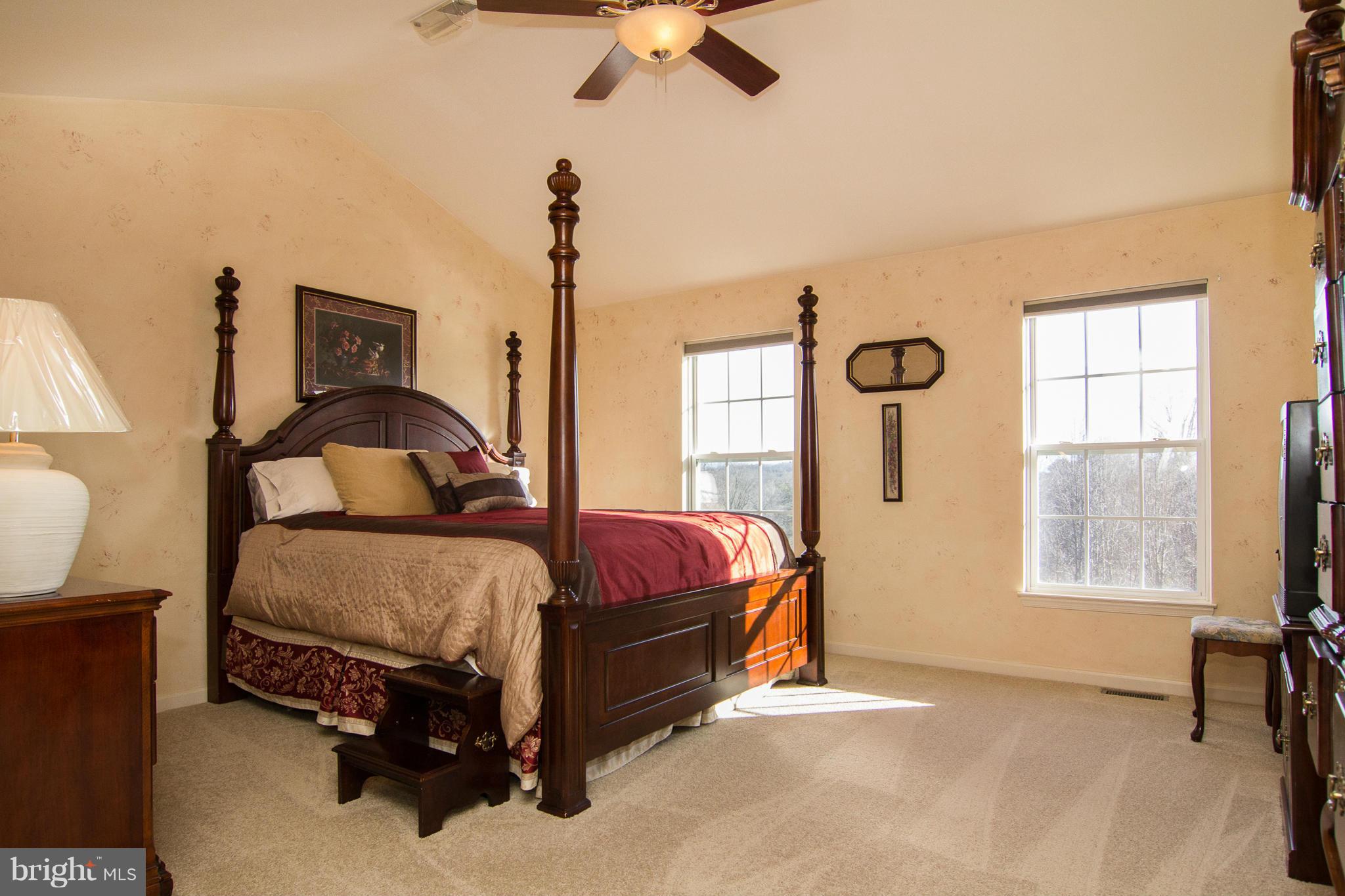 6312 Patuxent Quarter Road Hanover, MD 21076 - Photo 14 of 29 Master Bedroom with Cathedral Ceiling