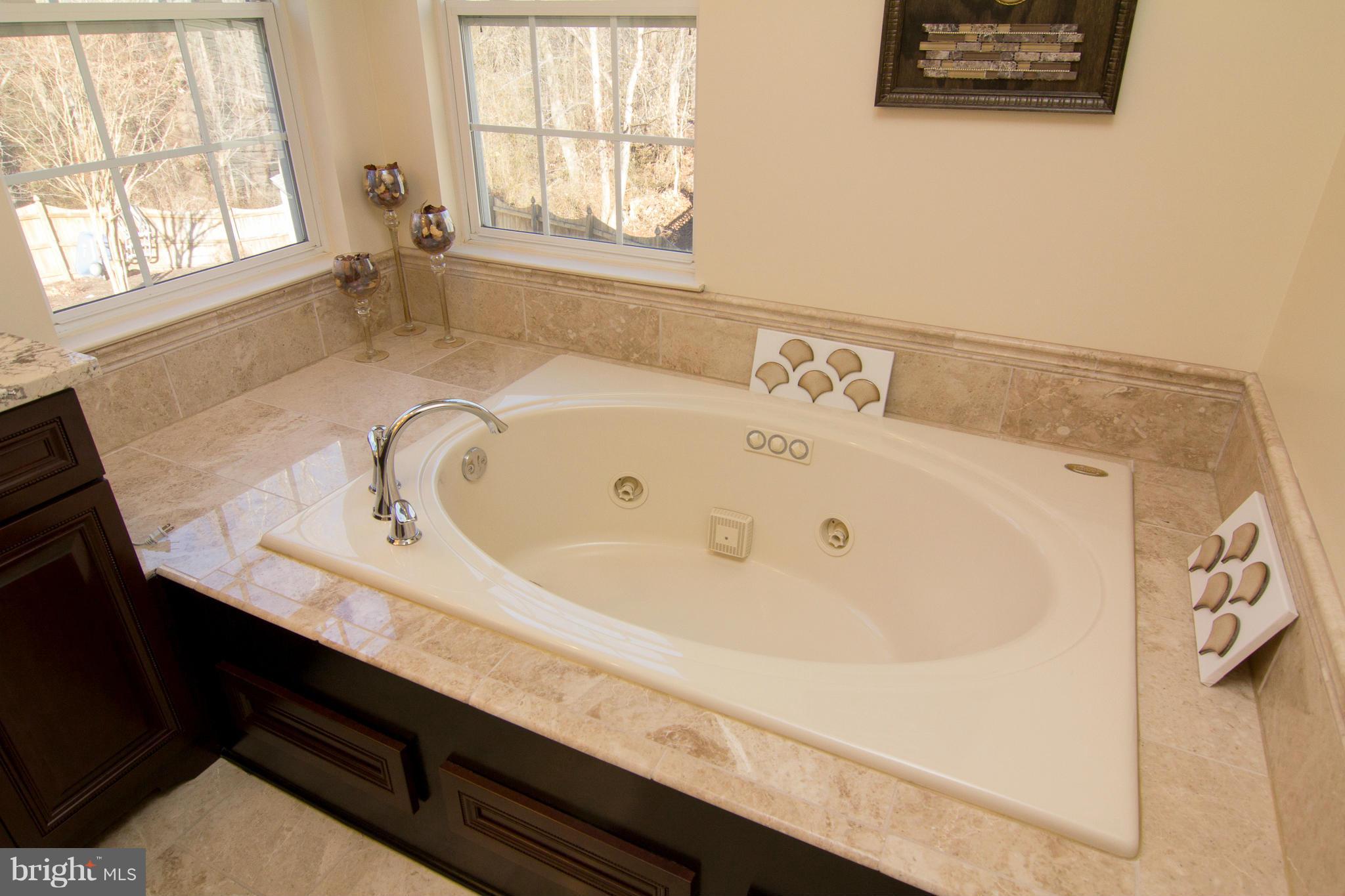 6312 Patuxent Quarter Road Hanover, MD 21076 - Photo 16 of 29 Master Bath Jetted Soaking Tub