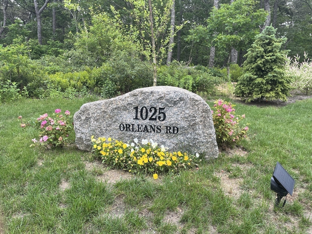 1025 Orleans Road Harwich, MA 02645 - Photo 8 of 39 a view of a garden