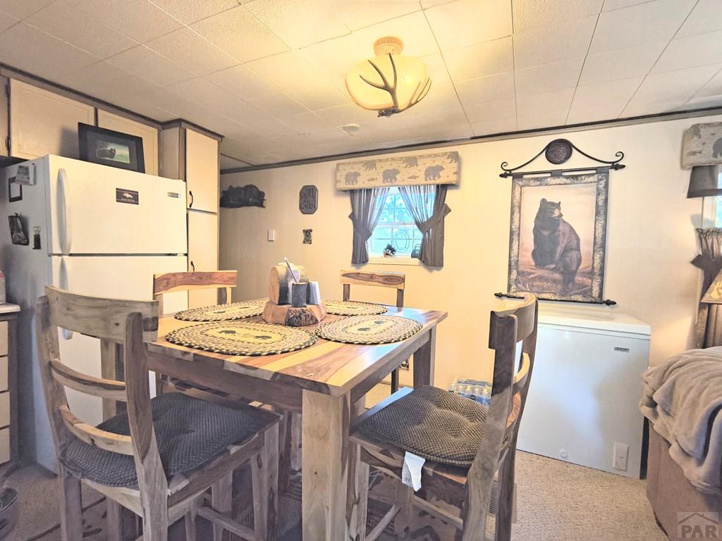 10594 Charles Lane Rye, CO 81069 - Photo 8 of 14