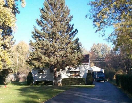 a view of outdoor space with garden and trees