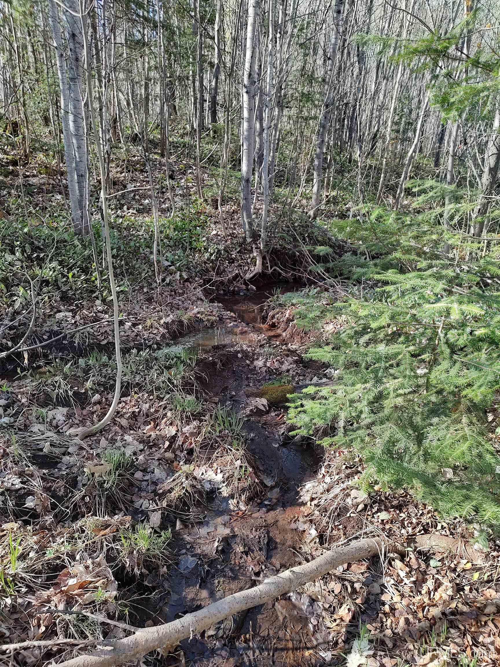 Tbd Tbd Schooner Road Ontonagon, MI 49953 - Photo 18 of 44