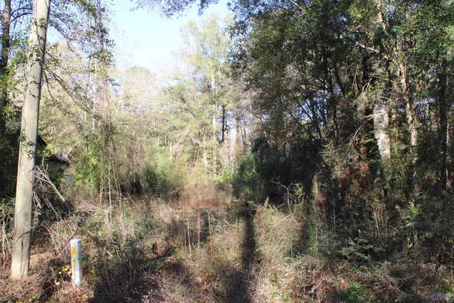 $14,434 | 17502 McGehee Road, Bogalusa, LA 70427