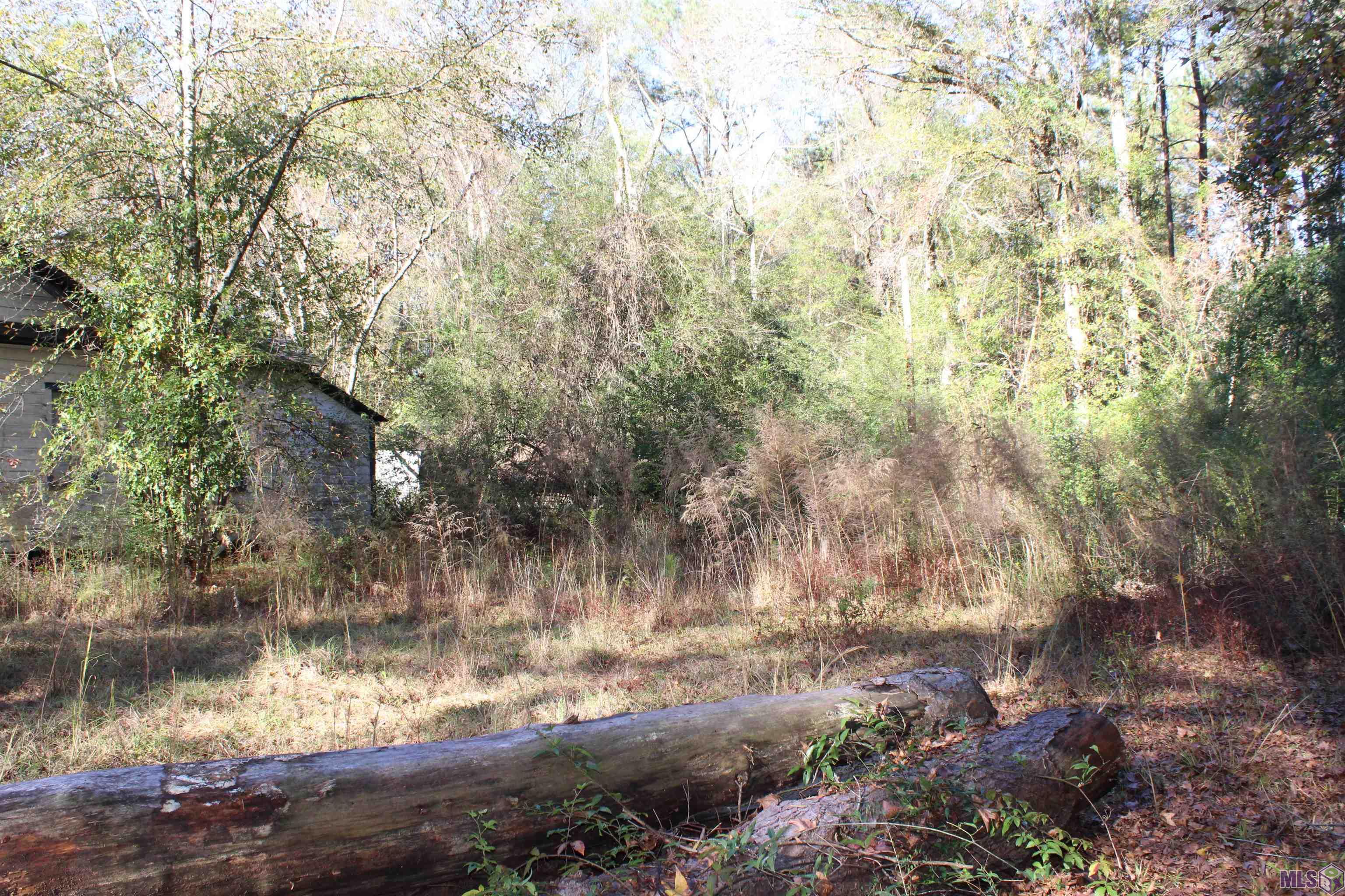 17502 McGehee Road Bogalusa, LA 70427 - Photo 3 of 14