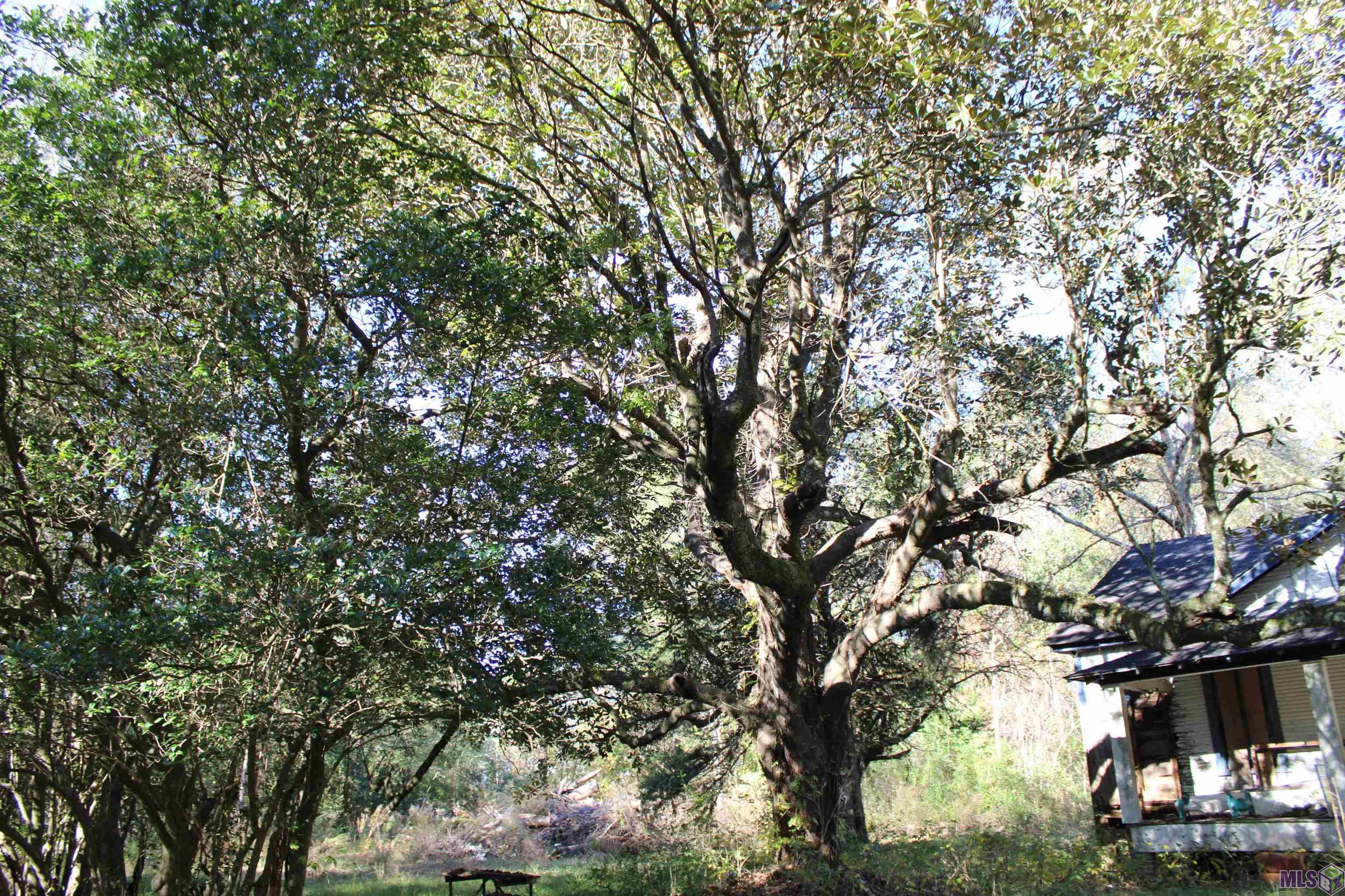 17502 McGehee Road Bogalusa, LA 70427 - Photo 5 of 14