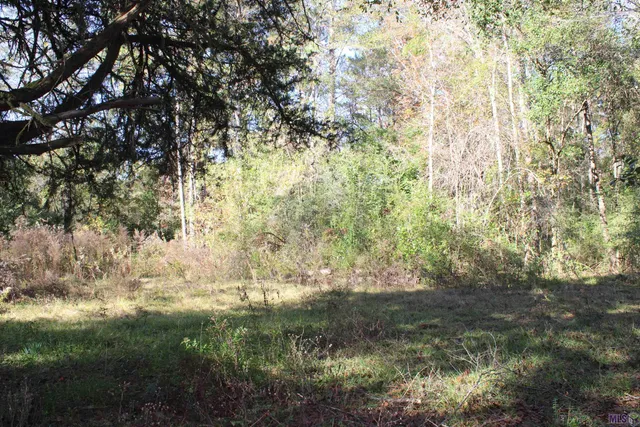 $14,434 | 17502 McGehee Road, Bogalusa, LA 70427