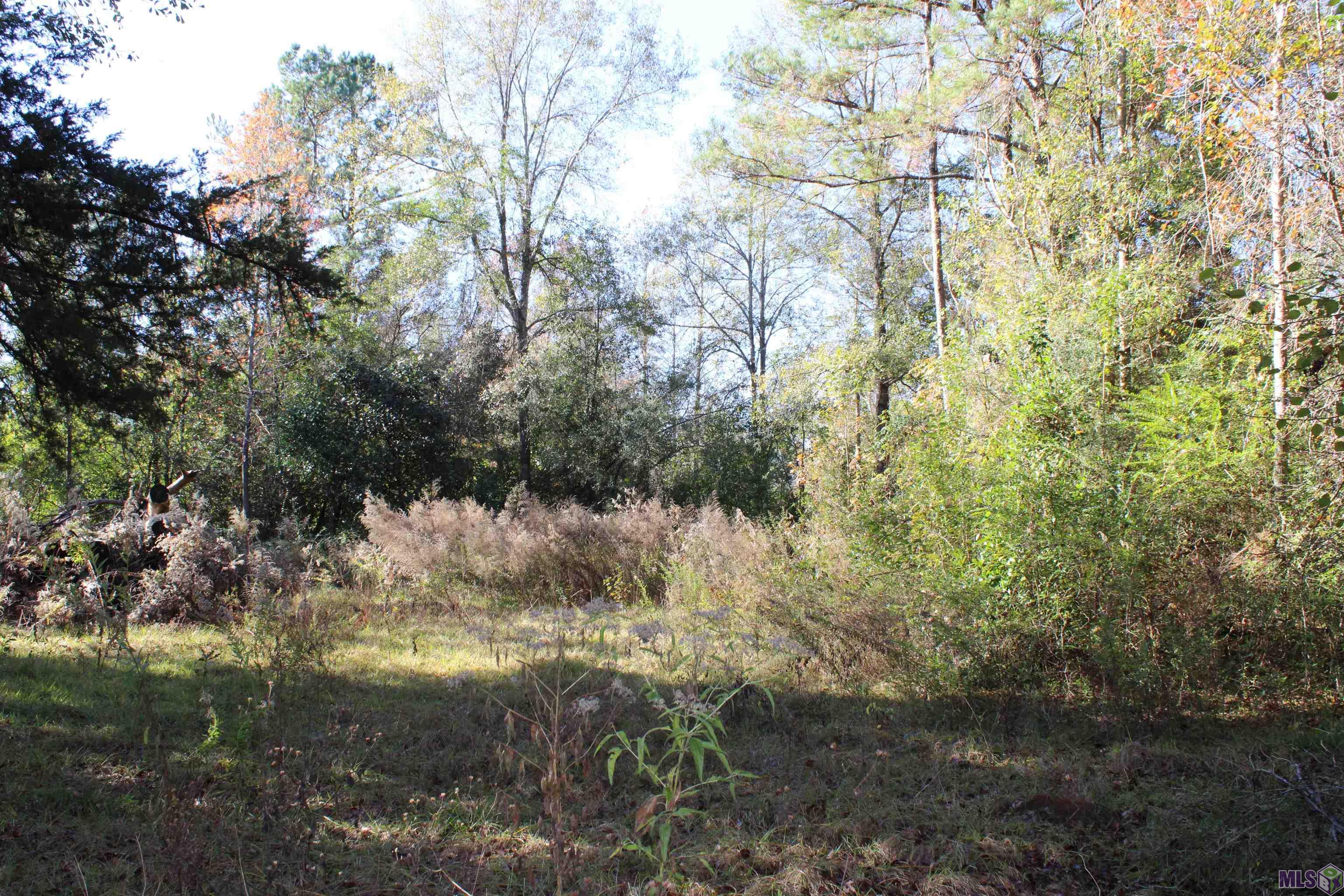 17502 McGehee Road Bogalusa, LA 70427 - Photo 10 of 14