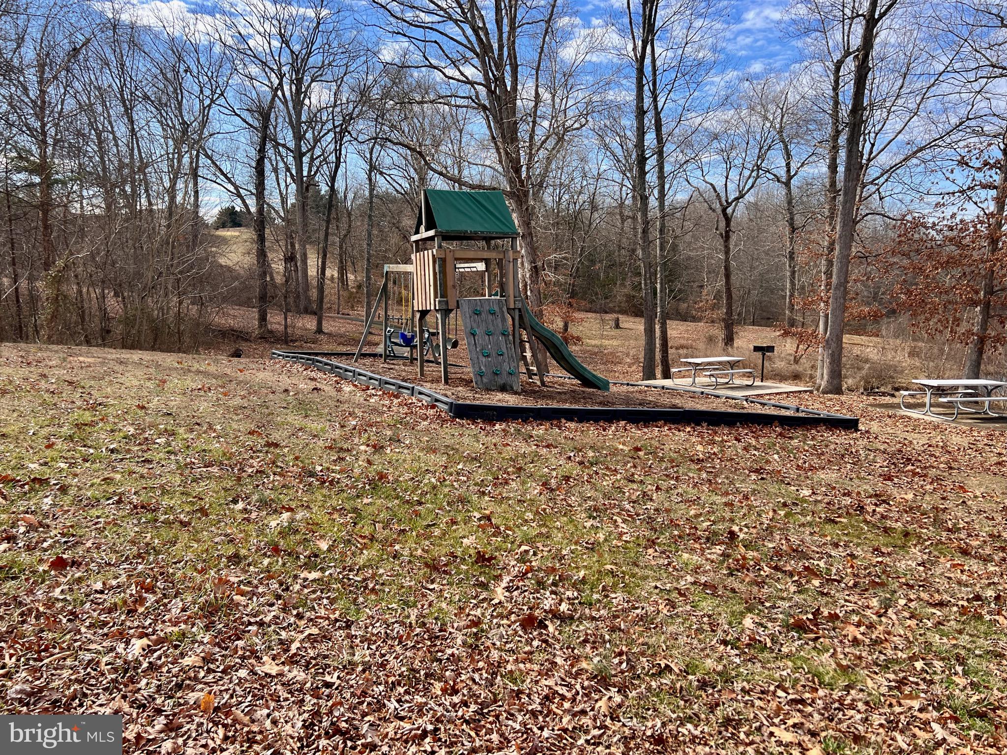 91 Cimarron Court Louisa, VA 23093 - Photo 10 of 44