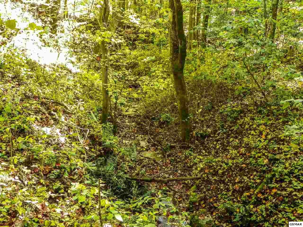 3 Obes Branch Road Sevierville, TN 37876 - Photo 17 of 33 Gallery Image 17