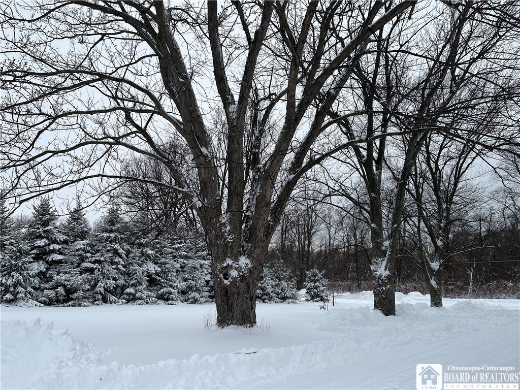 10391 West Side Hill Road Ripley, NY 14775 - Photo 39 of 49