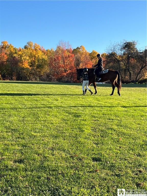 10391 West Side Hill Road Ripley, NY 14775 - Photo 43 of 49