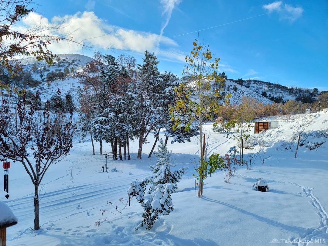 10945 Cameron Canyon Road Tehachapi, CA 93501 - Photo 70 of 75 Gallery Image 70