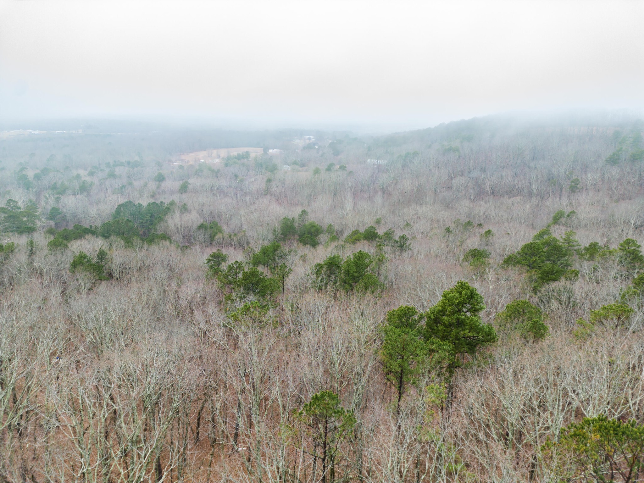 0 Leiderman Road Trenton, GA 30752 - Photo 14 of 50