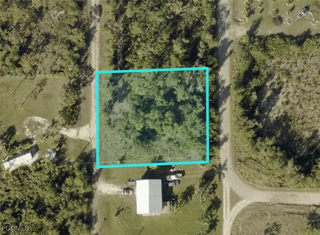 view of a yard with plants