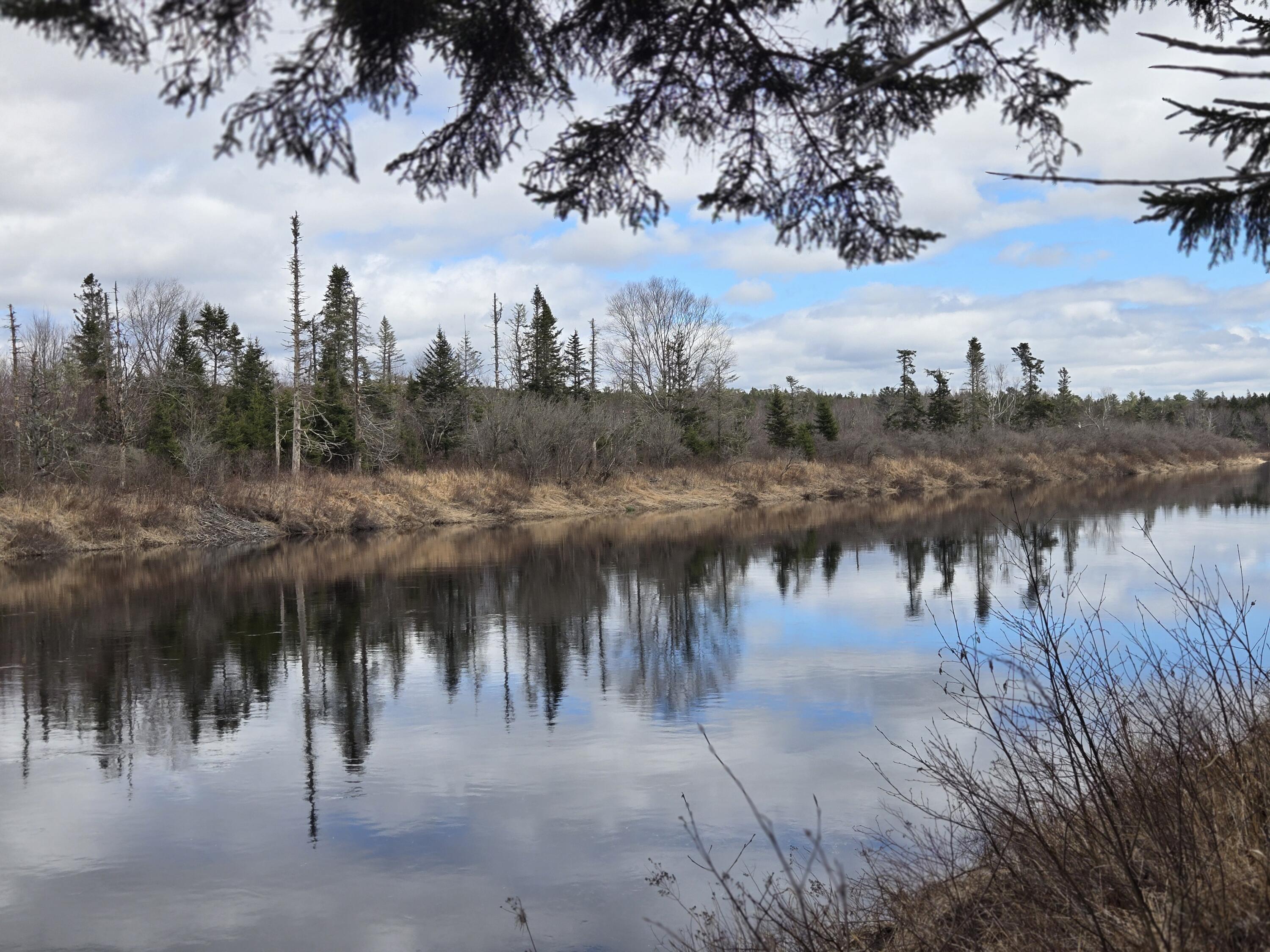 84 Hanscom Road Whitneyville, ME 04654 - Photo 2 of 35 20260414_115608