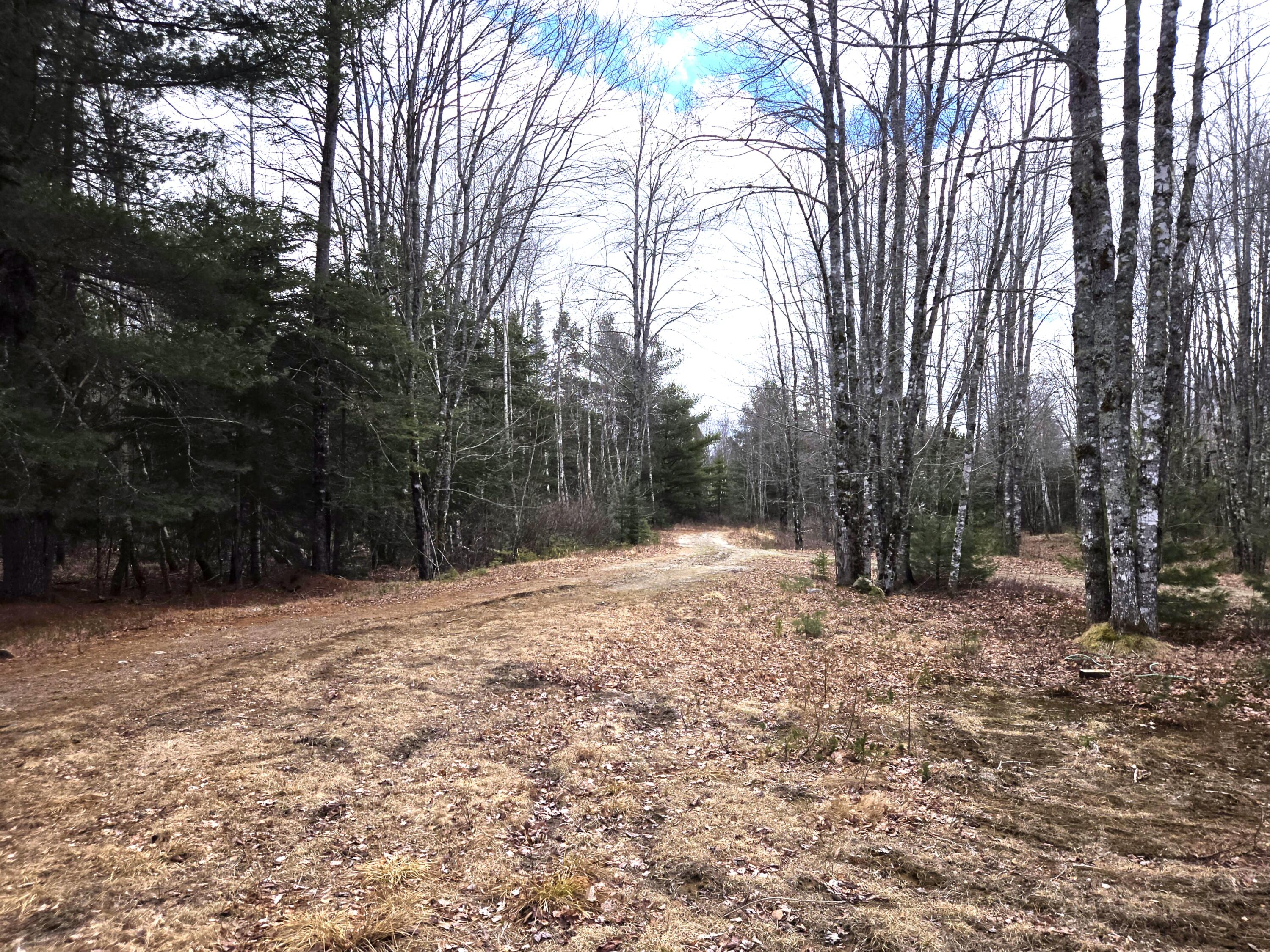 84 Hanscom Road Whitneyville, ME 04654 - Photo 25 of 35 20260414_113652