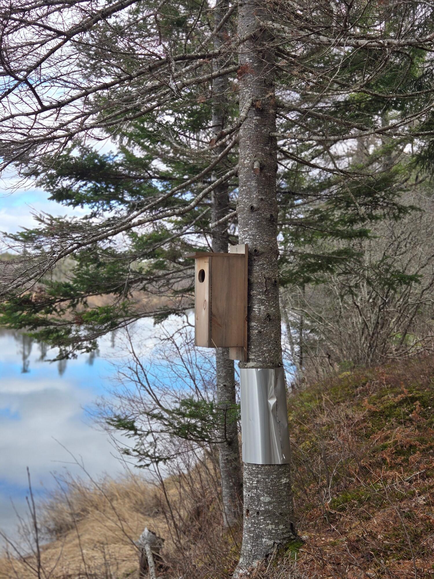 84 Hanscom Road Whitneyville, ME 04654 - Photo 27 of 35 20260414_115517