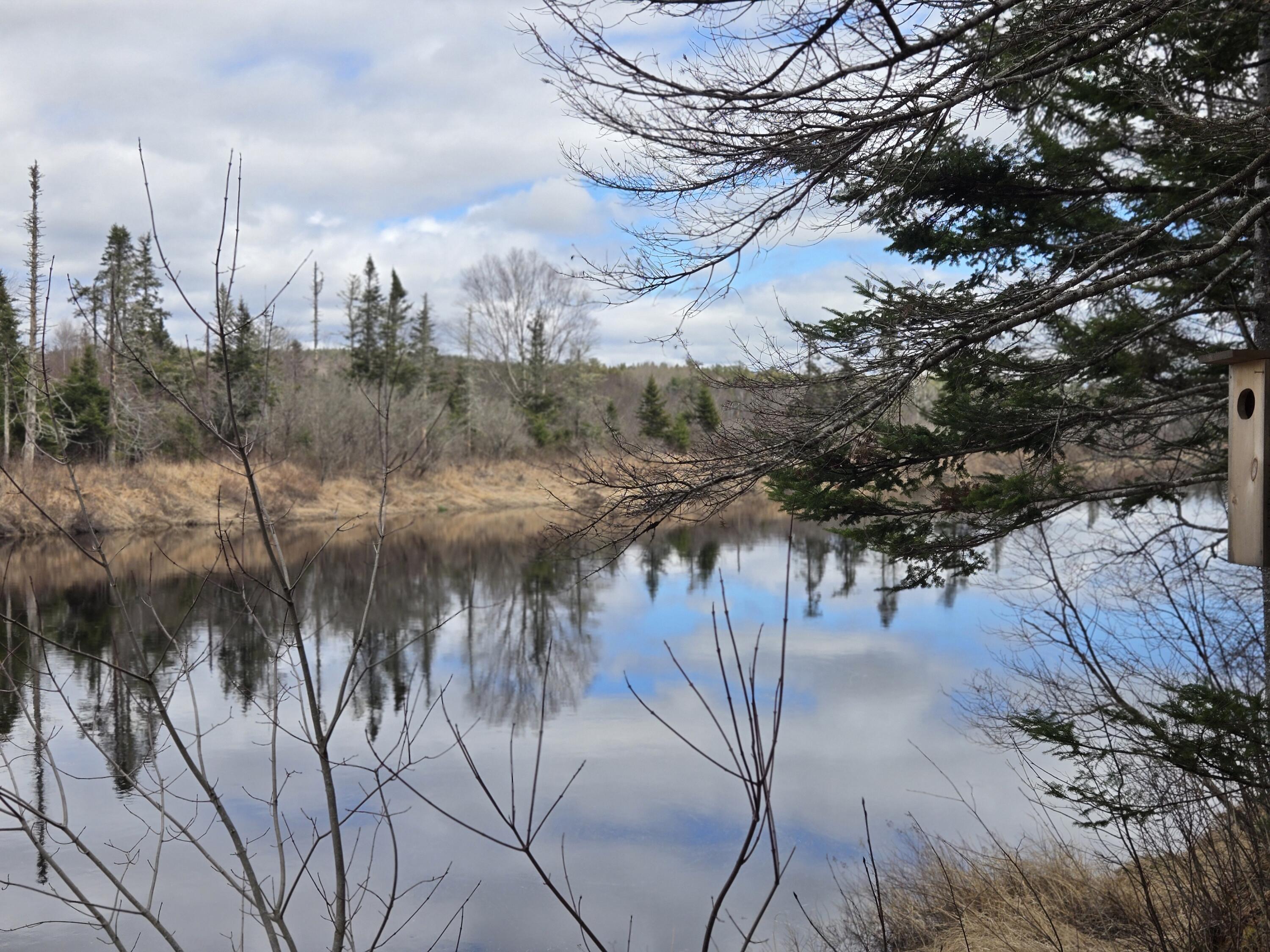 84 Hanscom Road Whitneyville, ME 04654 - Photo 28 of 35 20260414_115535