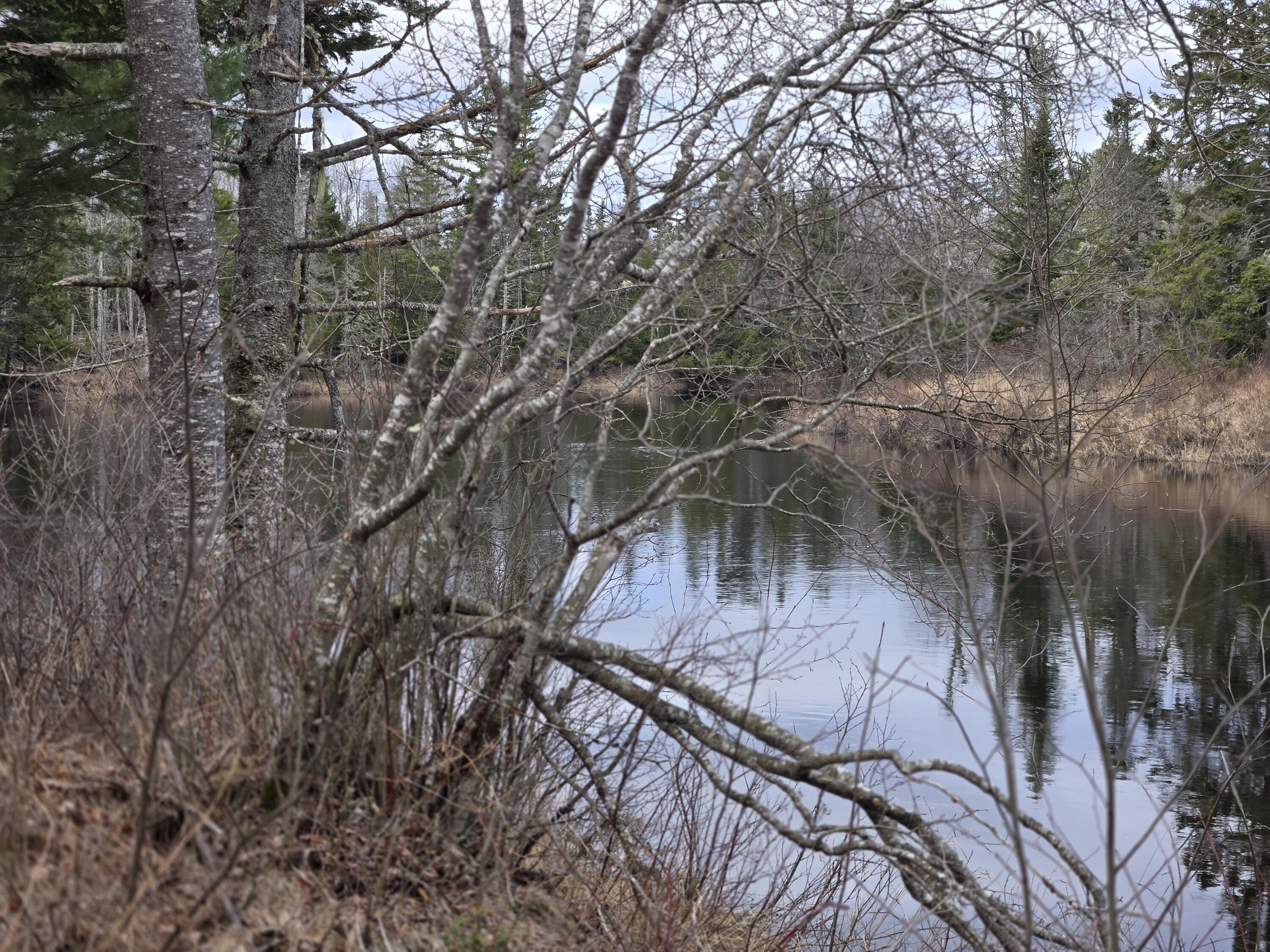 84 Hanscom Road Whitneyville, ME 04654 - Photo 29 of 35 20260414_115629