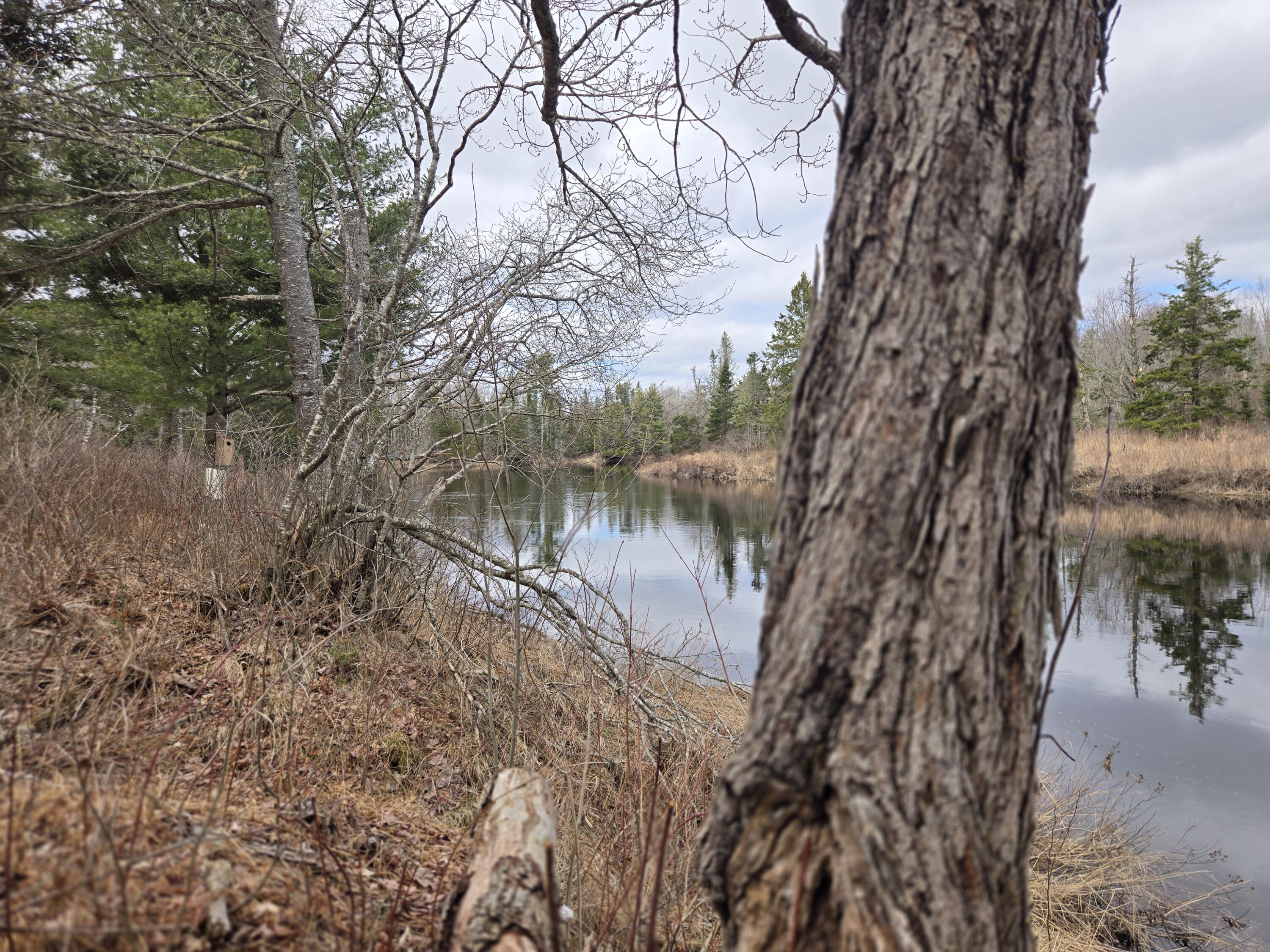 84 Hanscom Road Whitneyville, ME 04654 - Photo 30 of 35 20260414_115656
