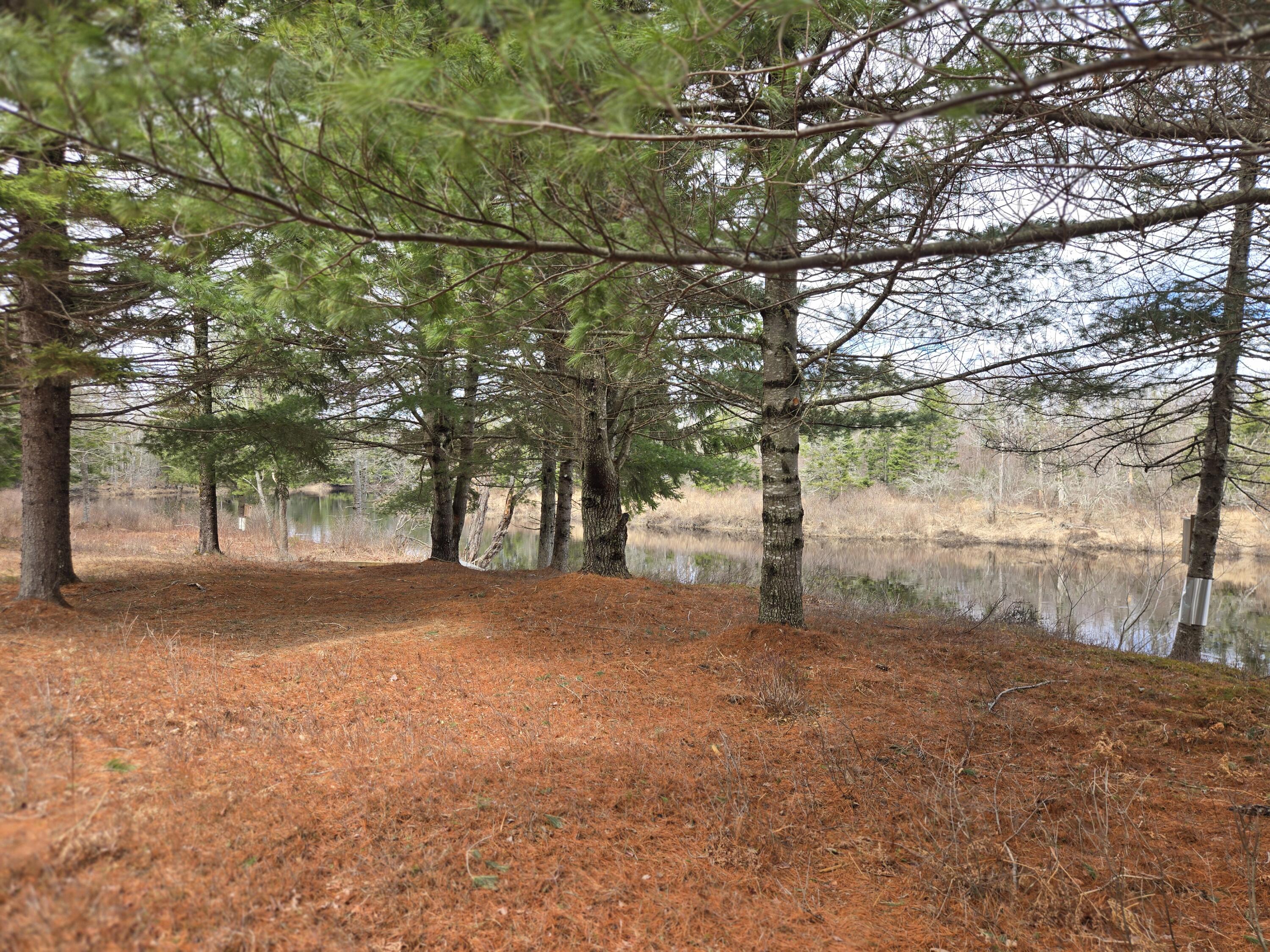84 Hanscom Road Whitneyville, ME 04654 - Photo 33 of 35 20260414_115827