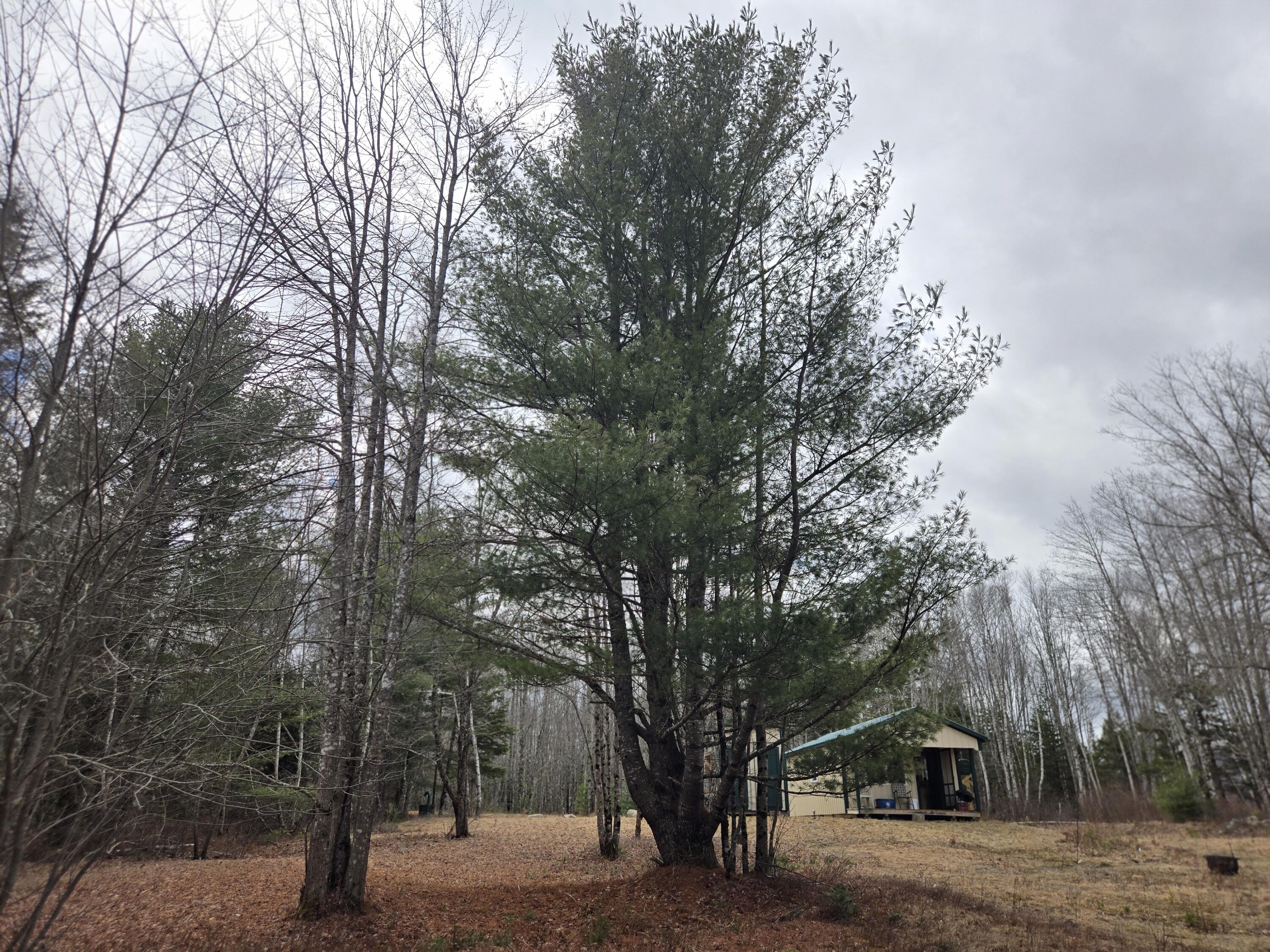 84 Hanscom Road Whitneyville, ME 04654 - Photo 34 of 35 20260414_115851