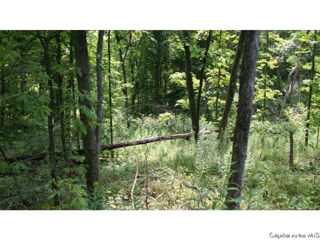Pea Ridge Road Camden, IL 62319 - Photo 11 of 36