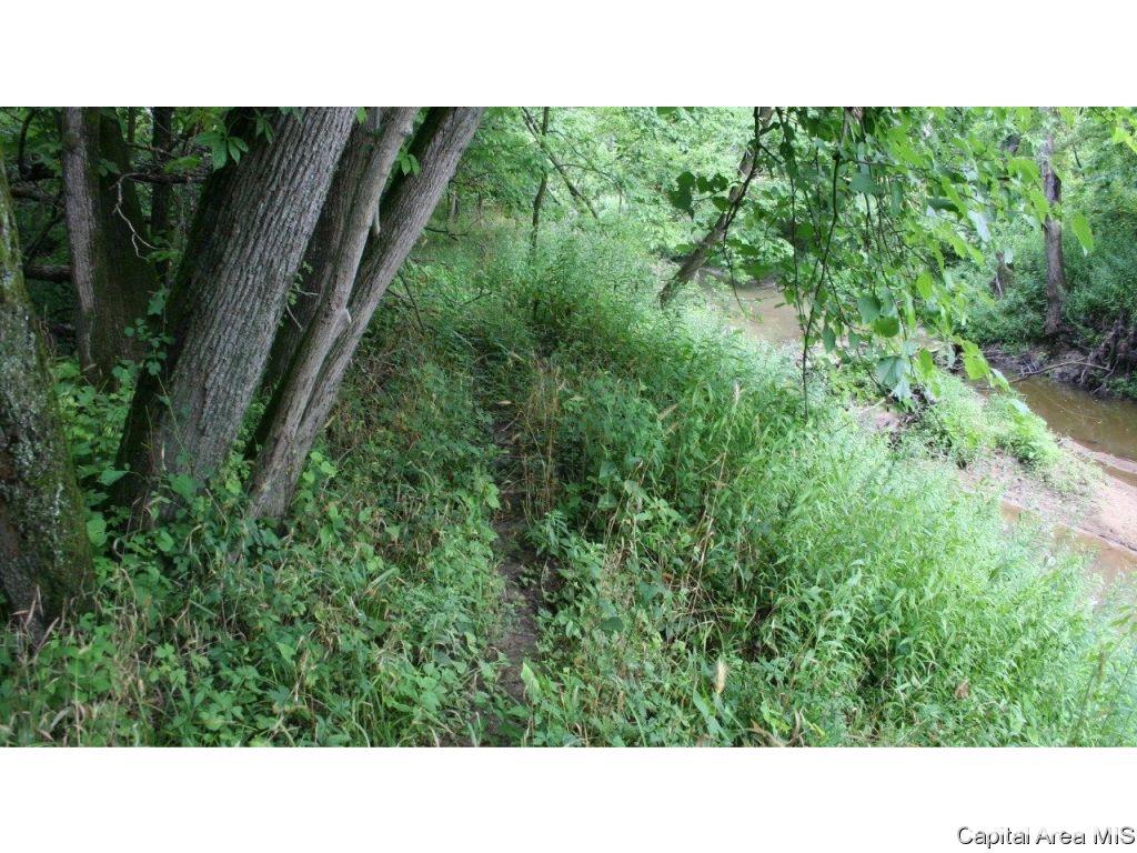 Pea Ridge Road Camden, IL 62319 - Photo 12 of 36