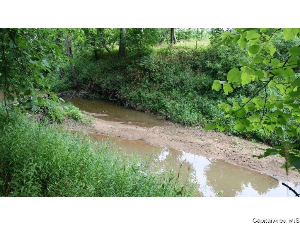Pea Ridge Road Camden, IL 62319 - Photo 13 of 36