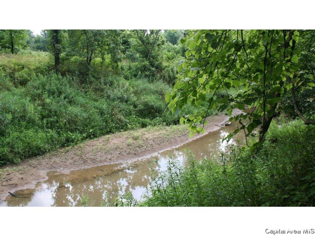 Pea Ridge Road Camden, IL 62319 - Photo 14 of 36