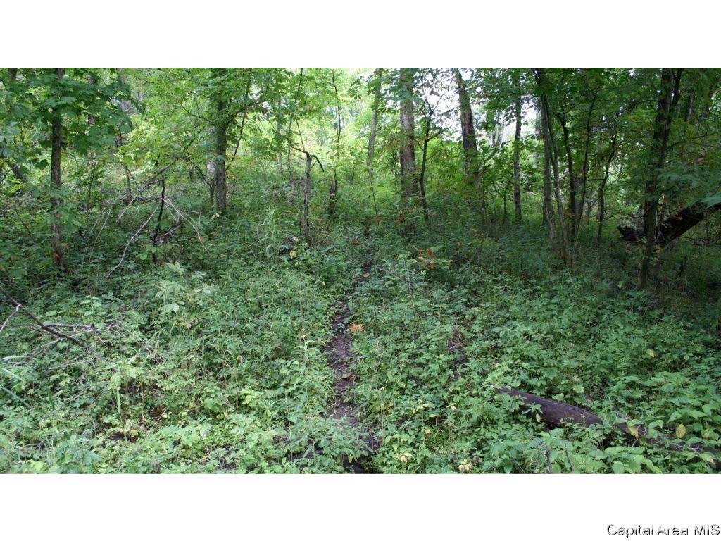 Pea Ridge Road Camden, IL 62319 - Photo 16 of 36