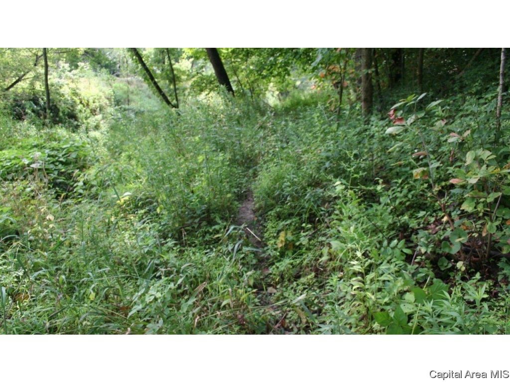 Pea Ridge Road Camden, IL 62319 - Photo 17 of 36