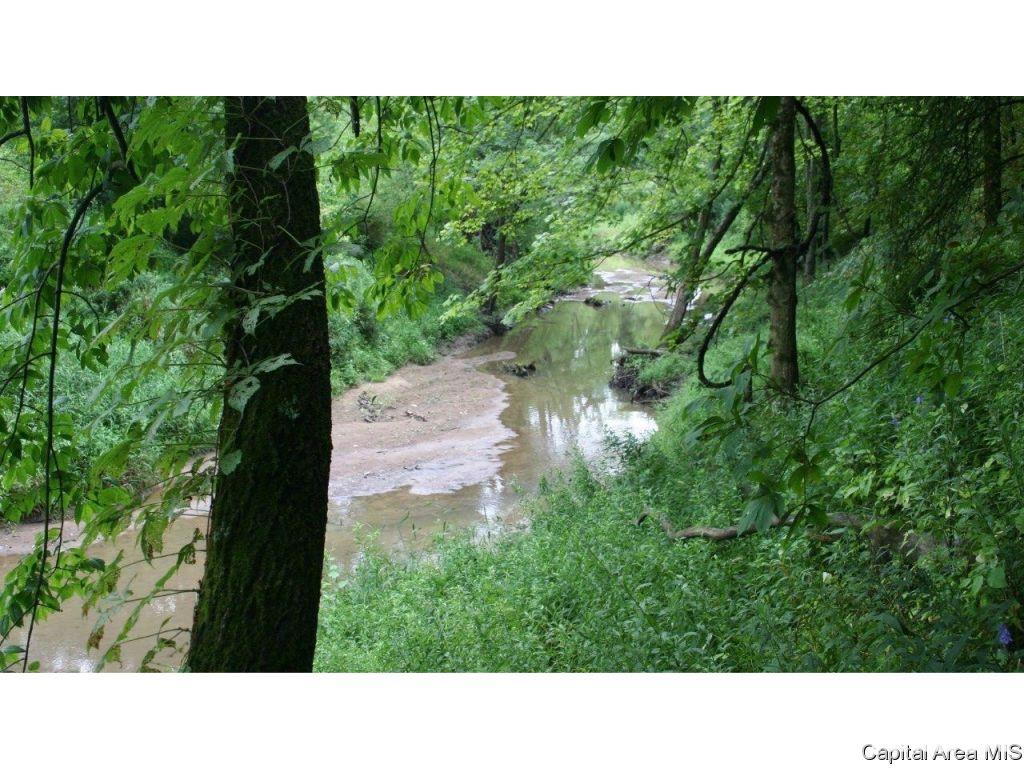 Pea Ridge Road Camden, IL 62319 - Photo 19 of 36
