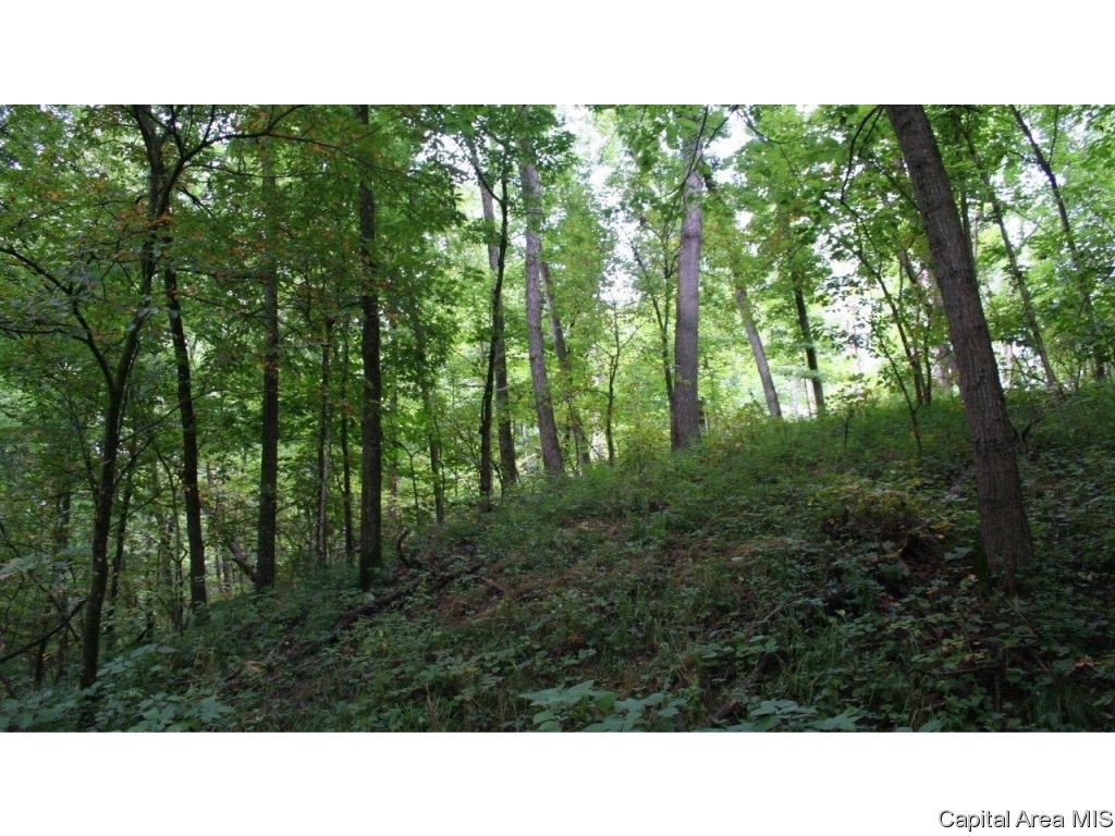 Pea Ridge Road Camden, IL 62319 - Photo 20 of 36