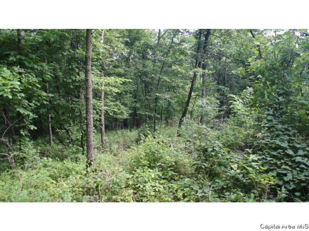 Pea Ridge Road Camden, IL 62319 - Photo 2 of 36