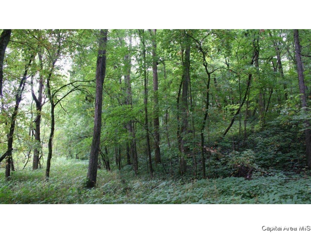 Pea Ridge Road Camden, IL 62319 - Photo 21 of 36