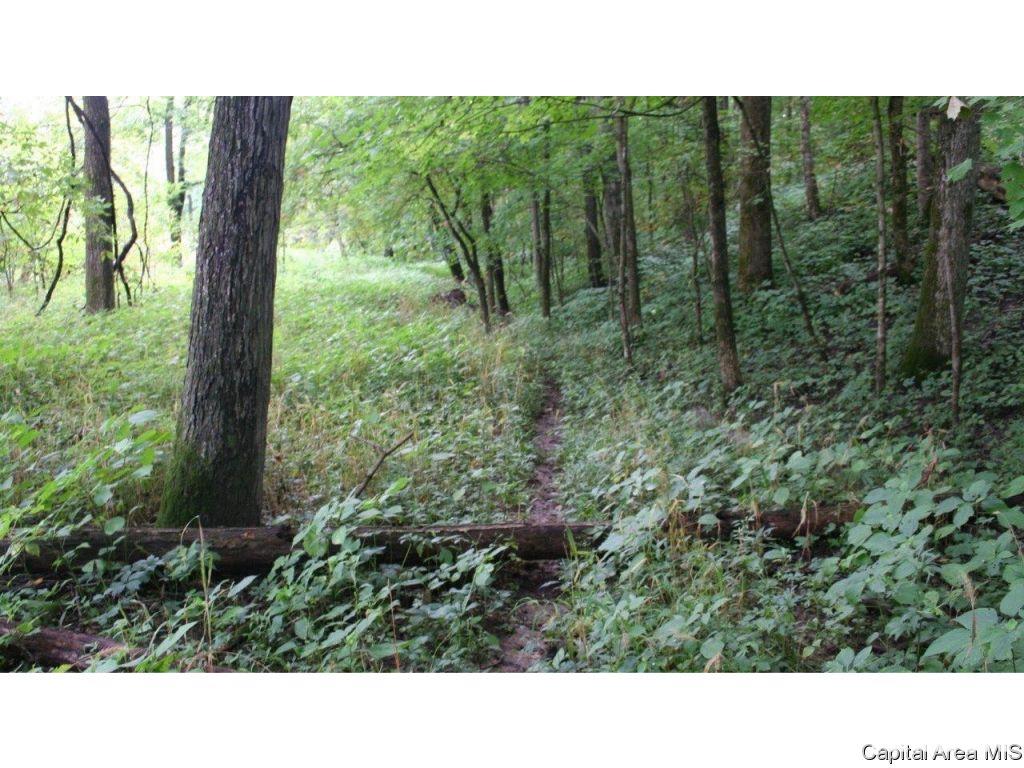 Pea Ridge Road Camden, IL 62319 - Photo 22 of 36