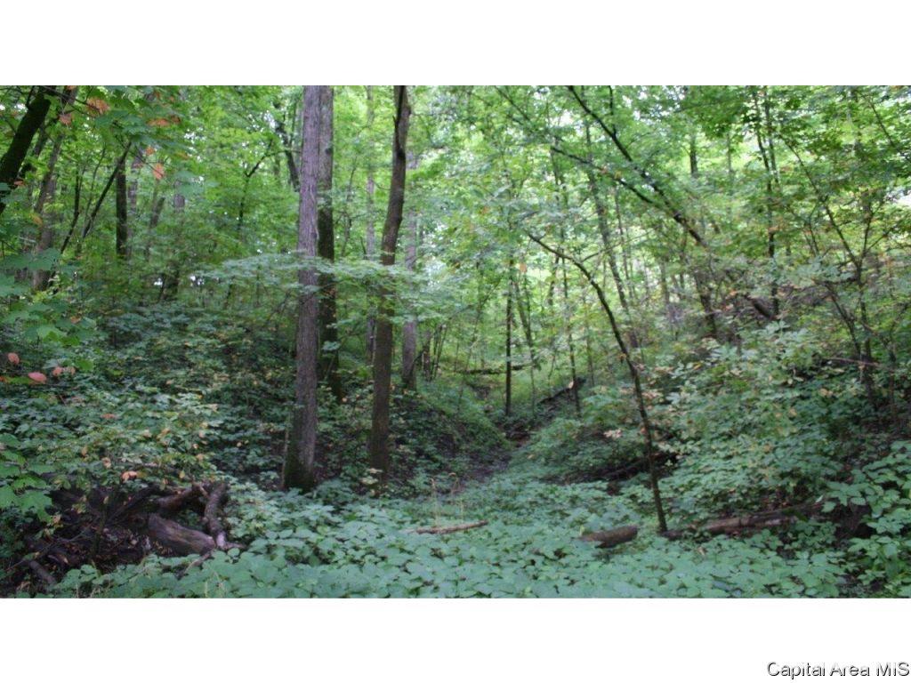 Pea Ridge Road Camden, IL 62319 - Photo 23 of 36