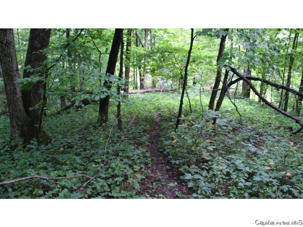 Pea Ridge Road Camden, IL 62319 - Photo 28 of 36