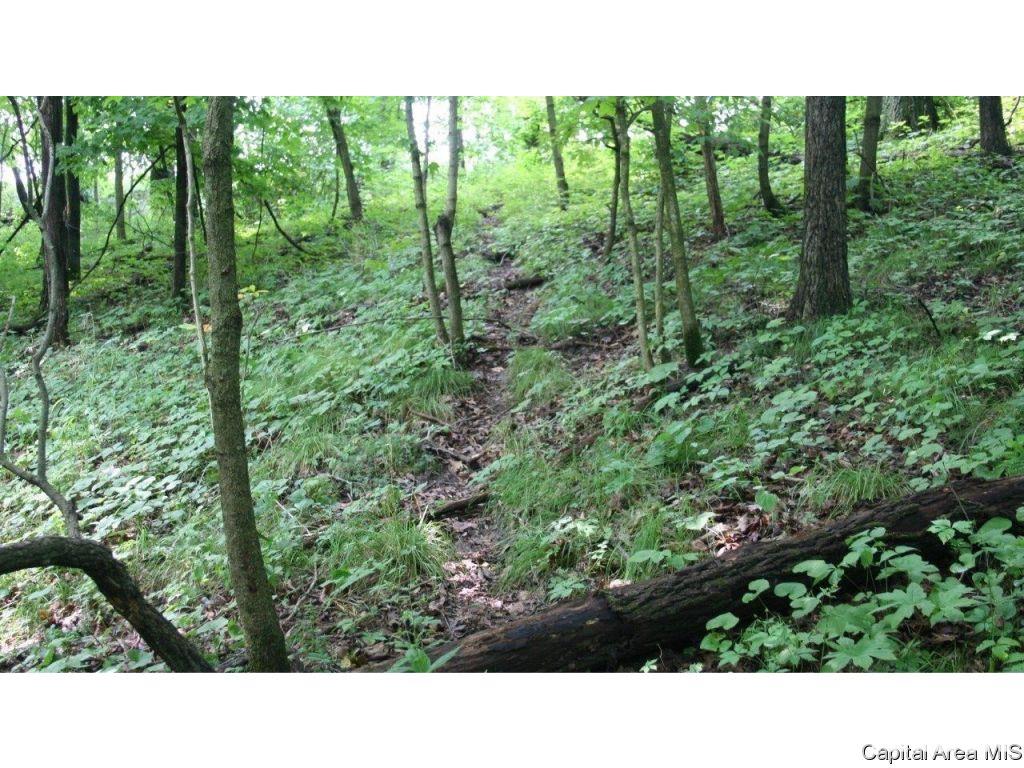 Pea Ridge Road Camden, IL 62319 - Photo 29 of 36