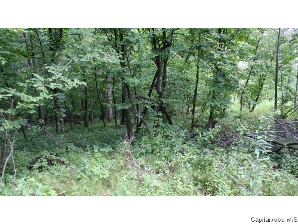 Pea Ridge Road Camden, IL 62319 - Photo 3 of 36