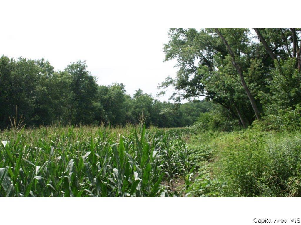 Pea Ridge Road Camden, IL 62319 - Photo 31 of 36