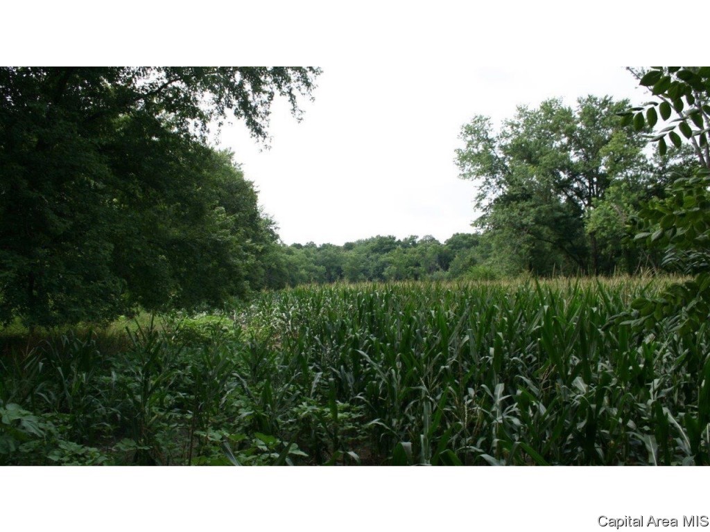 Pea Ridge Road Camden, IL 62319 - Photo 33 of 36