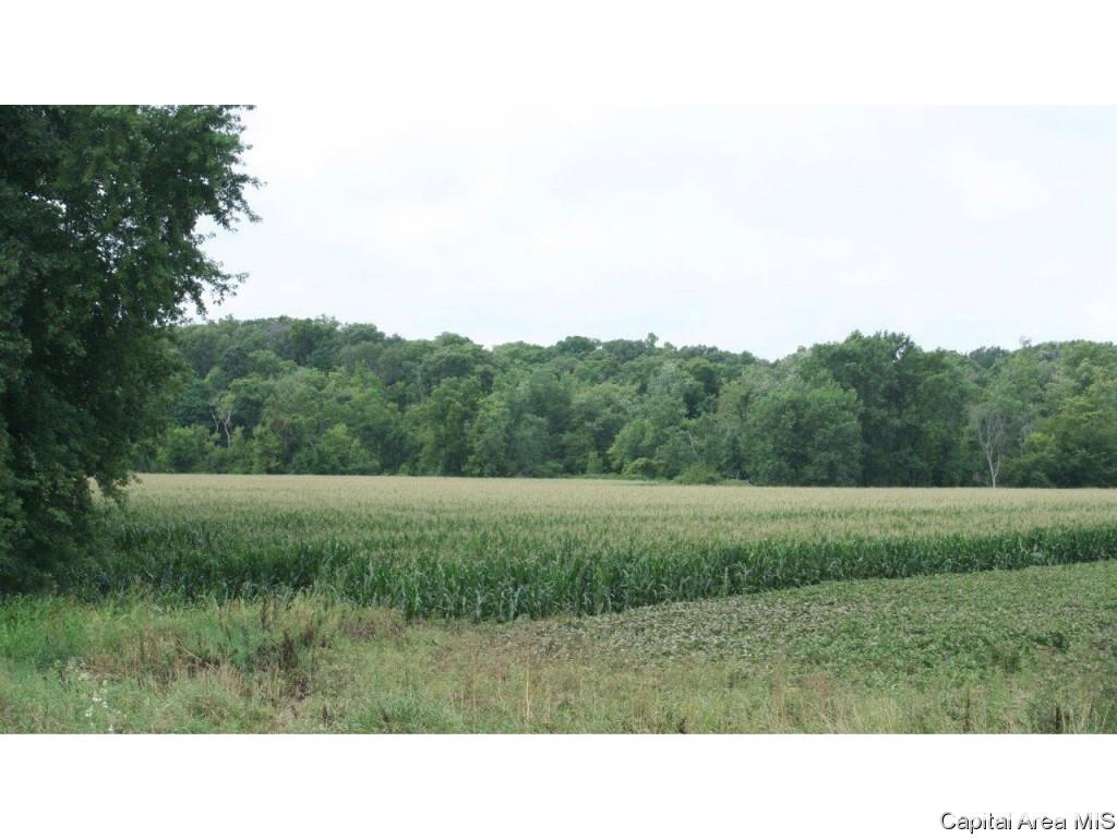 Pea Ridge Road Camden, IL 62319 - Photo 34 of 36