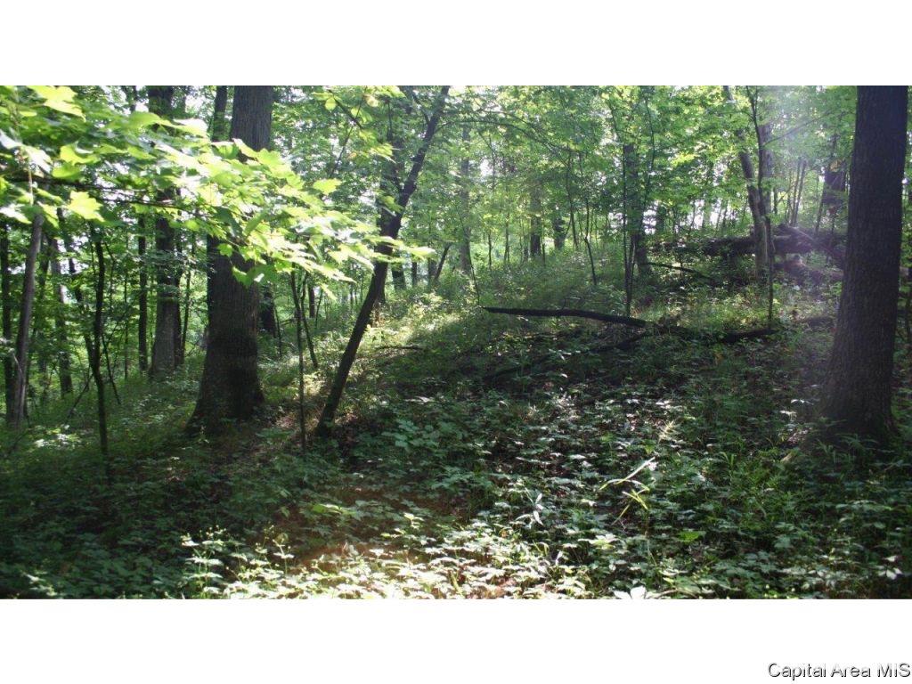 Pea Ridge Road Camden, IL 62319 - Photo 8 of 36