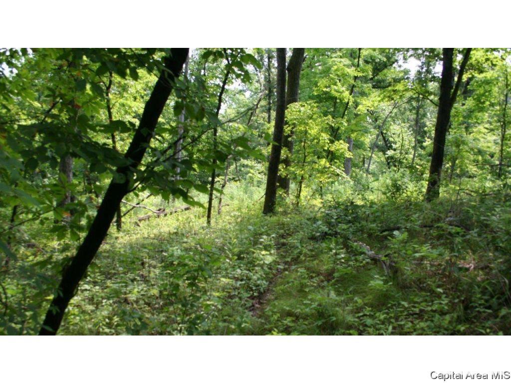 Pea Ridge Road Camden, IL 62319 - Photo 9 of 36