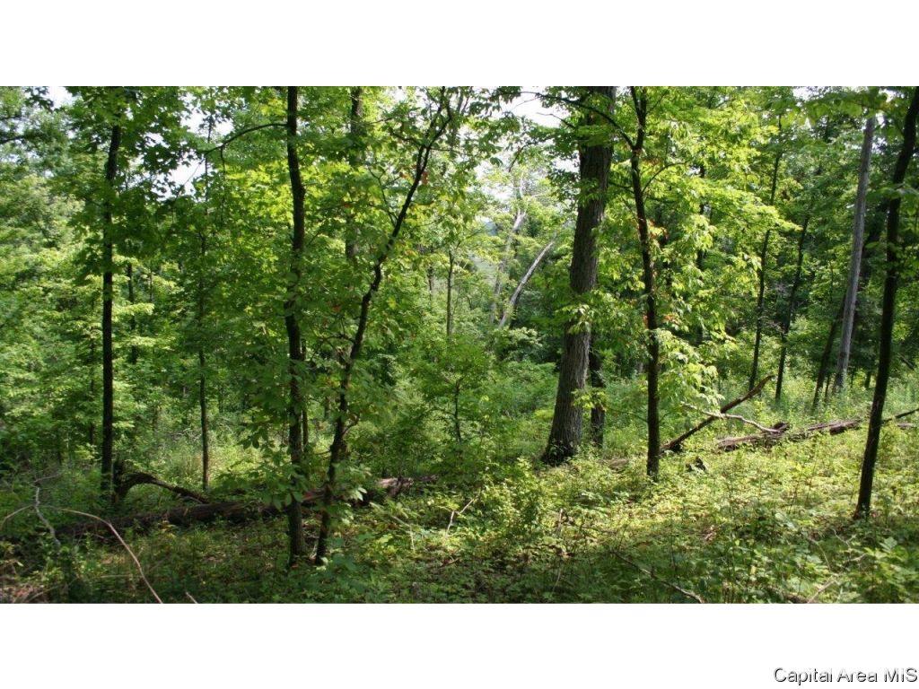 Pea Ridge Road Camden, IL 62319 - Photo 10 of 36